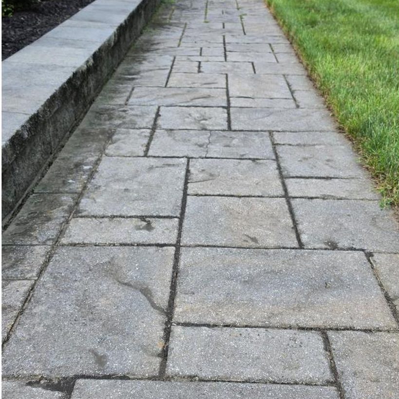 Paver walkway cleaning, before