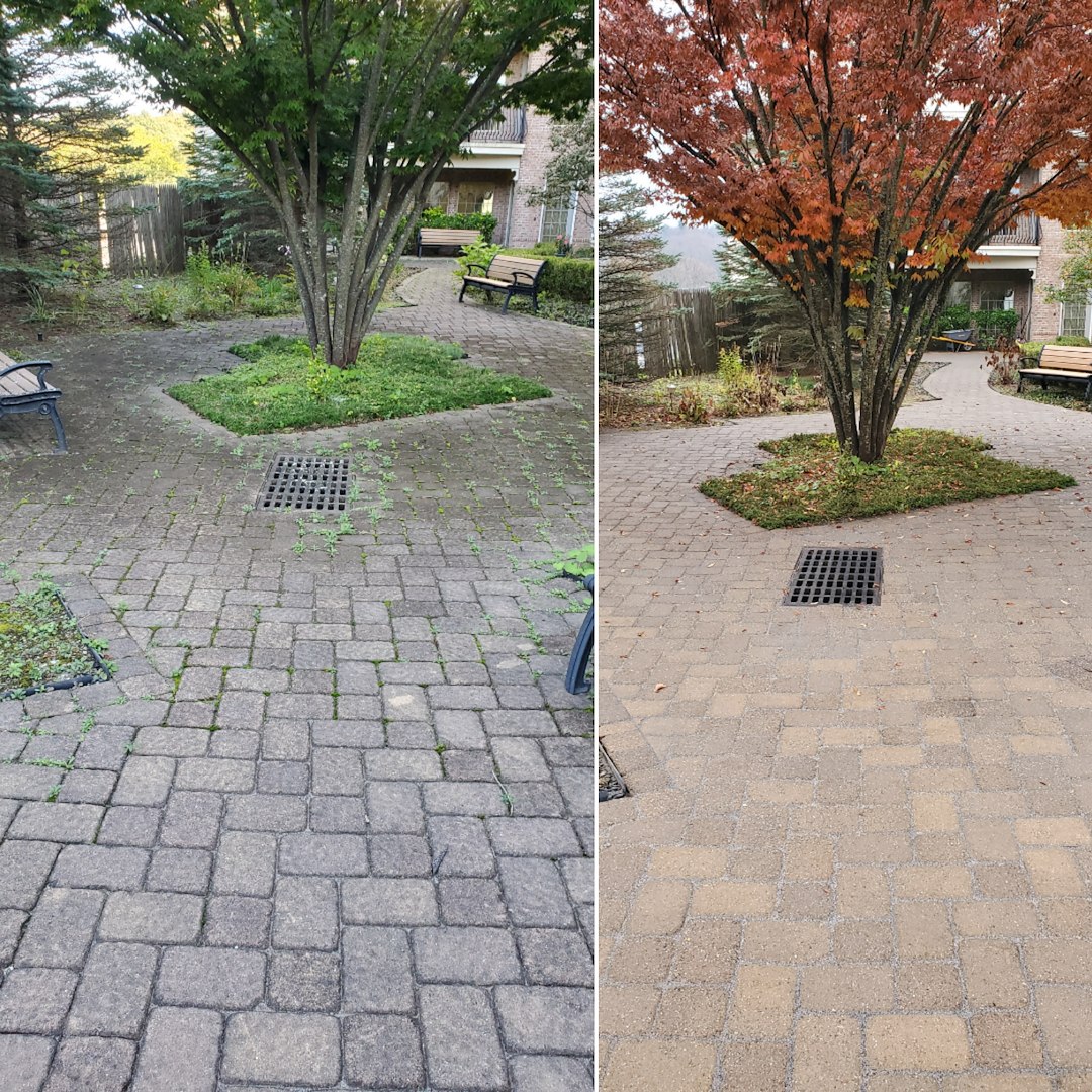 Paver Resanding and Cleaning in Sparta, NJ